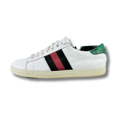 GUCCI SNEAKER